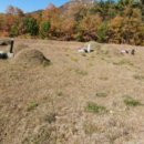 삼산면-8 이미지