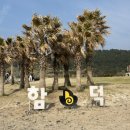 제주도게스트하우스친절한경배씨 | [제주] 동쪽 월정리 게스트하우스 추천 : 친절한 경배씨