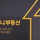 써니공인중개사사무소 네이버블로그