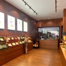 엘슈슈 | 나트랑여행-시내쇼핑(센트럴마켓,슈렉샵,엘스토어,악어집,로로앤코),남프엉(펑리수),빈산 (해산물...