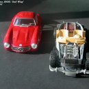 Mercedes Benz 300SL 'Gull Wing' ---- 1/24[Testors] 이미지