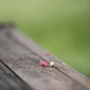 포항수영장 이미지