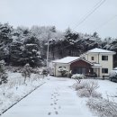 스테이몽펜션