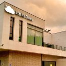 리틀포즈 반려동물 장례식장 이미지