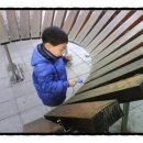 콩새야놀자