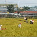 크로바농산물 이미지