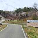 세종시 금남면 두만리 단독주택 매매 이미지