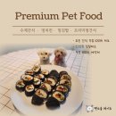 펫 소울메이트 이미지