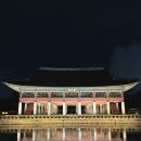 꽃꽂이(야간) 이미지