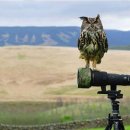 보림빌딩 이미지