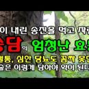 신이 내린 송담의 놀라운 효능, 당뇨병, 관절염, 항암효과 이미지