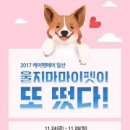 마이펫동물의료센타 올치올치