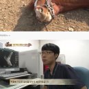 진강