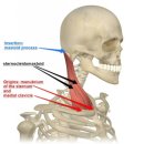 마천경희한의원 이미지