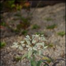 하이원콘도미니엄 이미지