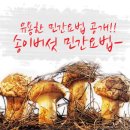 민간요법 - 송이버섯 편도염과 탈항증은 송이버섯으로 이미지