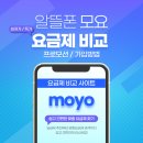 모요 이미지