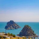 튤립공원 이미지