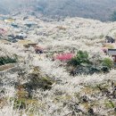 광양농산 이미지