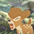 메이하우스 이미지