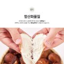 농업회사법인주식회사만나 | [농업회사법인두레팜주식회사] 무농약 인증 ㈜두레팜 참송이버섯을 쿠팡과 스마트 스토어에서 만나보세요!