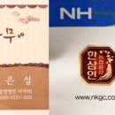 커피밥나무