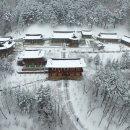 아름다운 숲길 화장실 이미지