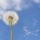 우리봄소아청소년과의원 이미지