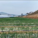 경영농장 이미지