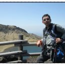 애견종합병원 이미지