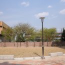 숭곡중학교 이미지