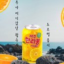 지변 | 천지개벽 제주 한라봉 스파클링 탄산음료 추천 / 편의점 음료 추천