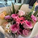 안진4길 | 고양 지축역 데이트 오마카세 맛집 키즈나