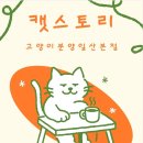 고양이집사 | 마포동고양이분양 아기 집사 첫 후기