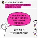 로뎀아트 네이버블로그