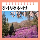 [경기 부천] 원미산 진달래축제 꽃밭 입장료 푸드트럭 주차장