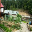 도수초등학교 병설유치원 이미지