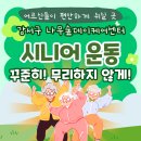 2024 쉽게 따라할 수 있는 시니어 건강체조 | 강서구 시니어 운동/즐겁게 꾸준히 하는 방법!/나무숲 데이케어센터