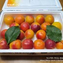 덕천2농장 이미지