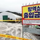 기러기농장 이미지