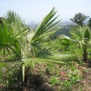 이슬농장 이미지