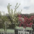 &lt;곰에서 왕으로&gt; 독서모임 후기 (1)