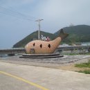 추자올레