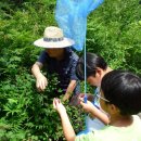 가리왕산 휴양림 이미지