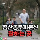 밀스칼프 이미지