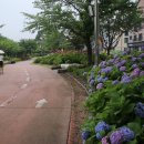 신동수변 이미지