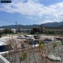미몽케이크스튜디오 | 김해에 힙쟁이 카페가 있다고해서 방문해 봄! 카페 피어어피어 내돈내먹 후기
