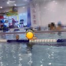 스위밍키즈 호매실점 이미지