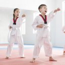 대화키즈태권도 이미지