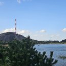 동백코스(서천-군산) 이미지